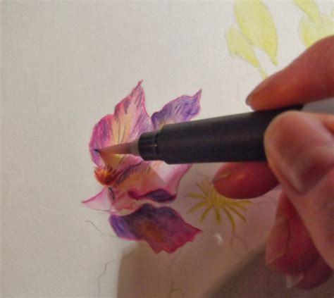 Coloring Sheets Nails