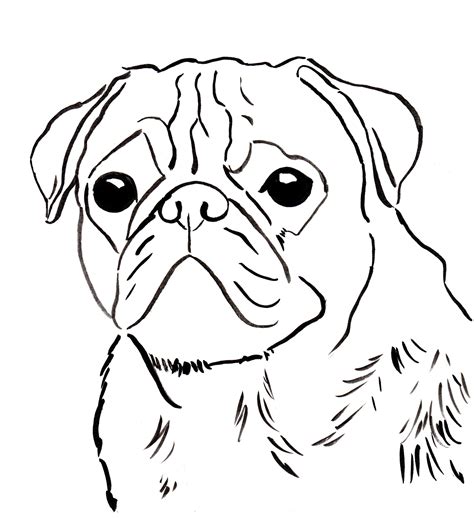 Coloring pages pugs. Sep 8, 2023 · With these free Puppy Dog Pals coloring pages for kids, you can have hours of fun coloring in these two fun loving pugs and decide what adventures they will be … 