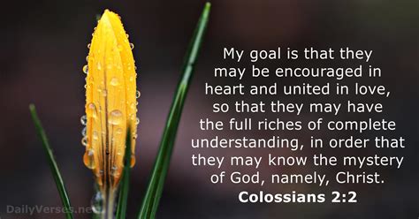 Colossians 2 niv. Things To Know About Colossians 2 niv. 