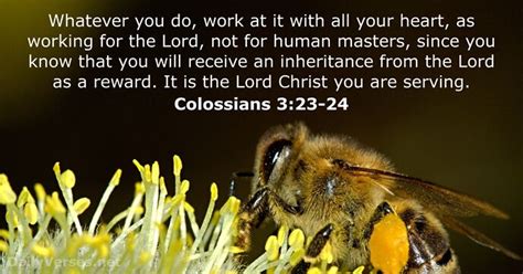 Colossians 3 23 24 niv. Things To Know About Colossians 3 23 24 niv. 