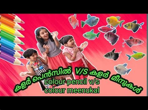 Colour Meenukal - YouTube