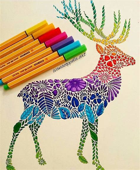 Colour Pen Drawing