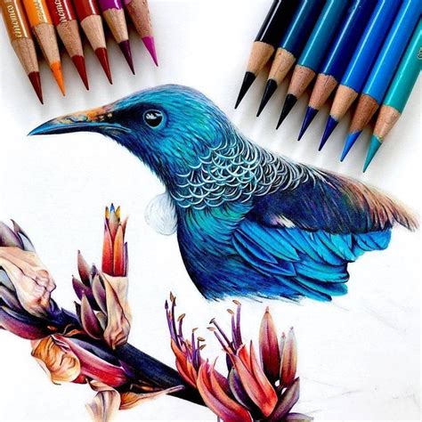 Colour Pencil Drawing Tutorial Colored pencils consist of a pigmented
