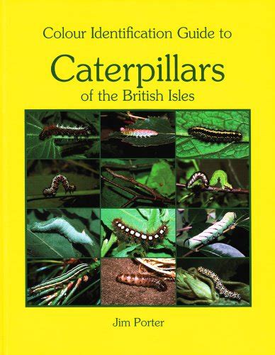 Colour identification guide to caterpillars of the british isles macrolepidoptera. - Botanica manuale di laboratorio più una.