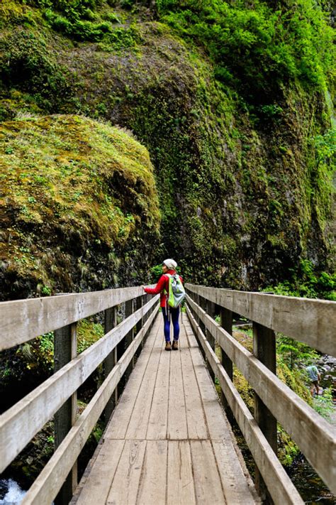Columbia river gorge hikes. 5: Hamilton Mountain. This is a classic Gorge hike rich in waterfalls, cliffs and a forest with vine maples that light up with color. The challenging 9.4-mile loop climbs 2,100 feet within Beacon ... 