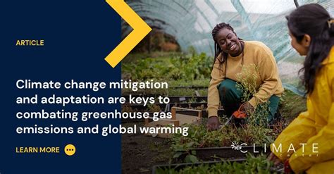 Combating global warming with creative methods in the East-Timorese region