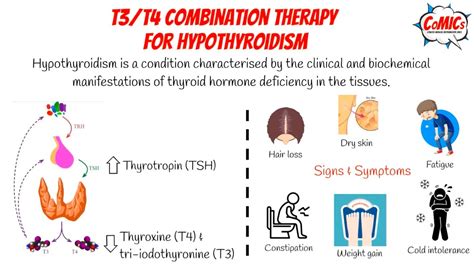 Combination t3 and t4 replacement. Hypothyroidism is usually treated b...
