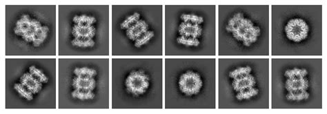 Combine Different Magnifications — cryosparc-tools