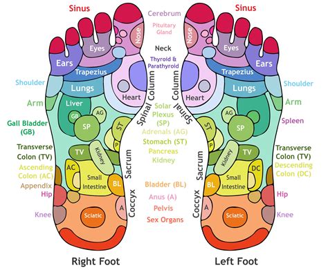 Comfort Zone Accupressure & Reflexology - facebook.com