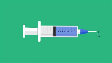 Command Injection A Guide to Types, Risks, and Prevention