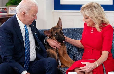 Commander Biden bites another Secret Service employee at the White House