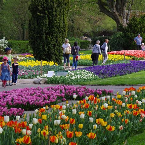 Comment aller de Mulhouse a wittenheim