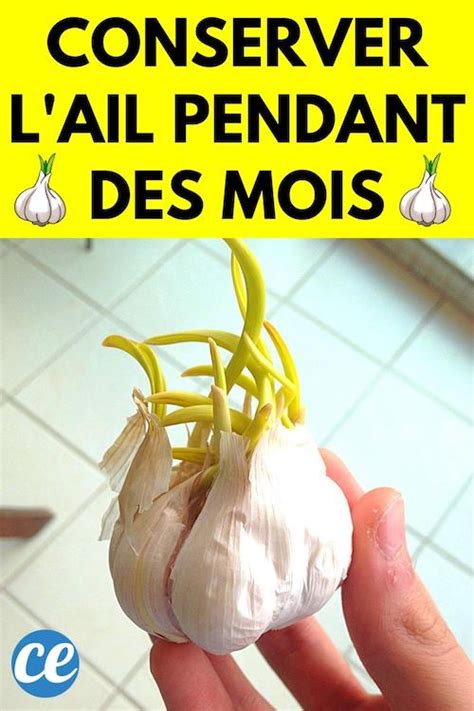 Comment conserver l'aillet