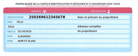 Comment obtenir carte ICAD - Animaux Info