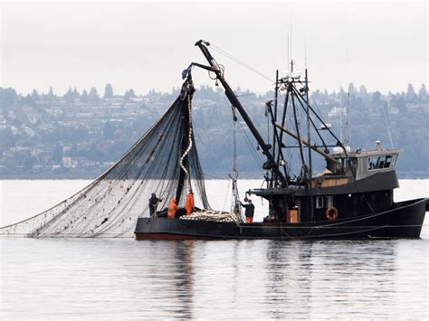 Commercial Fishermen Compensation - maritimelawyer.us