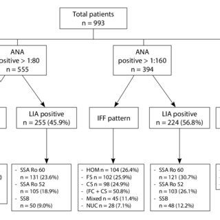 Common ANA patterns by IIF a, negative sample; b, homogeneous; c