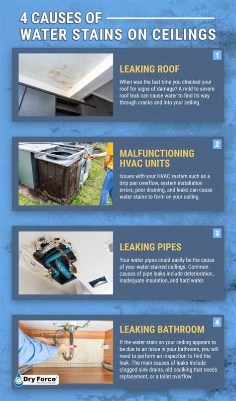 Common Causes of Water Leaks in Basement Ceilings and How to Fix Them