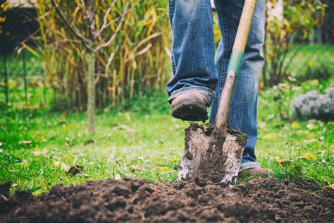 Common Ground Digs Up The Dirt On Regenerative Farming