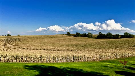 Common Ground in the Heartland