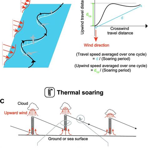 Common Mistakes in Thermal Soaring