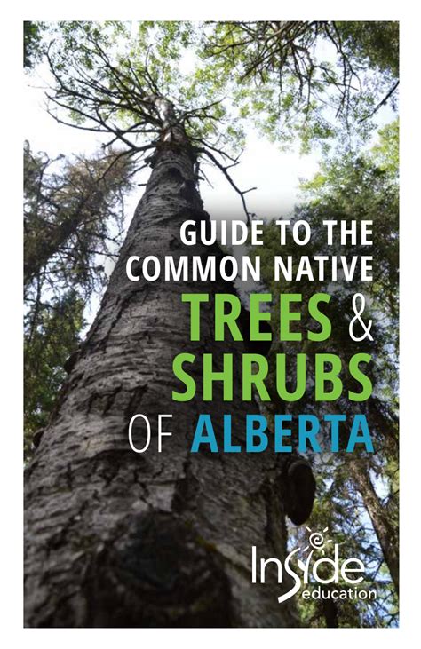 Common Native Trees - Alberta