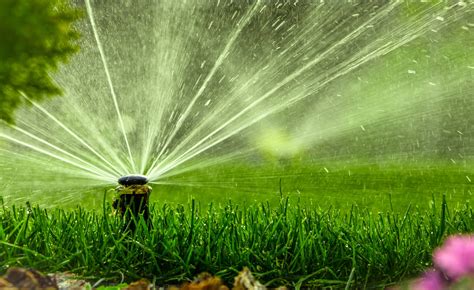 Common Sprinkler System Repair Issues Maxum Irrigation & Plumbing