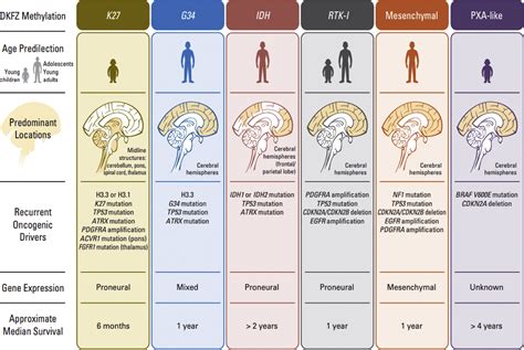 Common Types of Brain & Spinal Tumors Advanced Neurosurgery