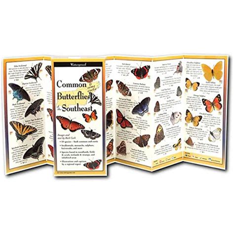 Common butterflies of the southeast foldingguides. - Murray briggs and stratton 500 series manual.epub.