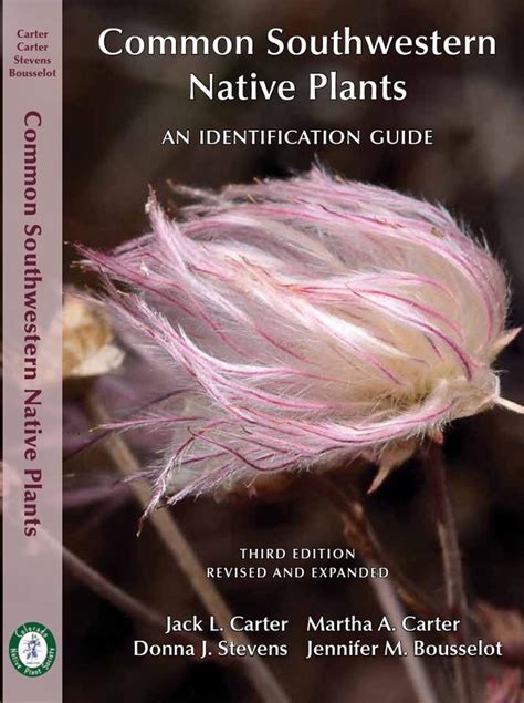 Common southwestern native plants an identification guide. - Cost-benefit-analysis als lenkungsinstrument öffentlicher investitionen im verkehr..