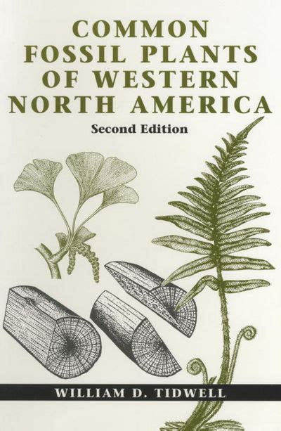 Read Common Fossil Plants Of Western North America By William D Tidwell
