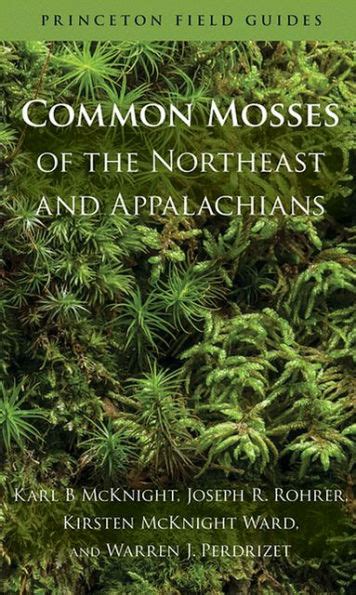 Download Common Mosses Of The Northeast And Appalachians By Karl B Mcknight