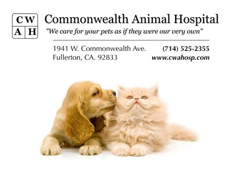 Commonwealth Animal Hospital Fullerton CA - Facebook