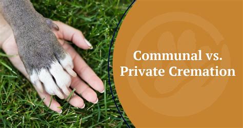 Communal cremation vs private.  3.  Learned borrowing from Late Latin commūnālis, fr...