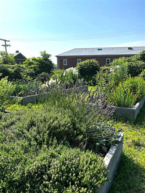 Community Garden – FishersIsland.net