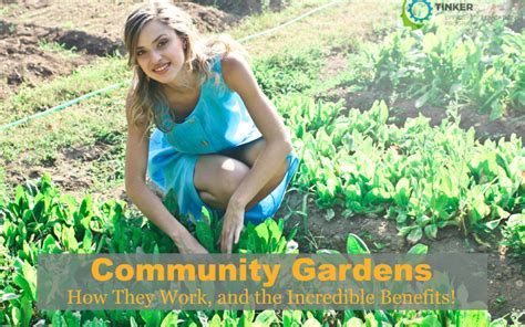 Community Gardens – How They Work, and the Incredible Benefits!