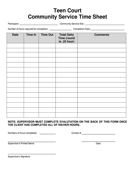 Community Service Paperwork Form Fill Out and Sign Printable PDF