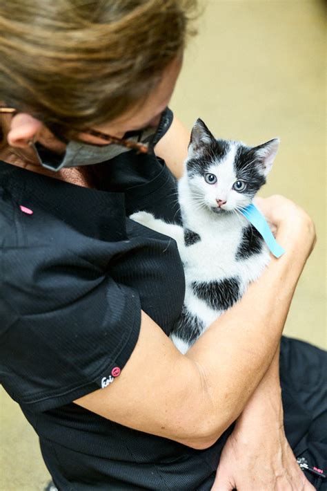 Community Spay-Neuter Clinic - Petfinder