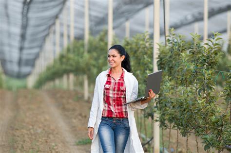 Como é a área de Agronomia? Carreira & Sucesso