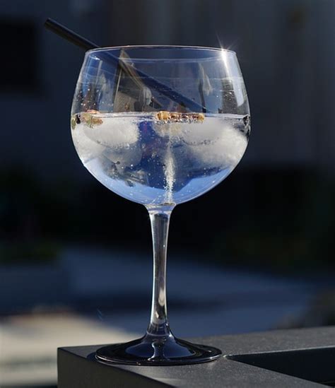 Como preparar um Gin Tónico perfeito - Mulher Portuguesa