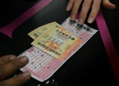 Compañeros de trabajo se reparten US$ 50.000 después de que su jefa les regalara boletos de lotería por Navidad