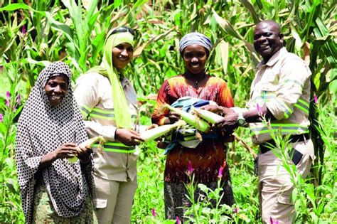 Compagnie des Bauxites de Guinee (CBG) on LinkedIn: # ...