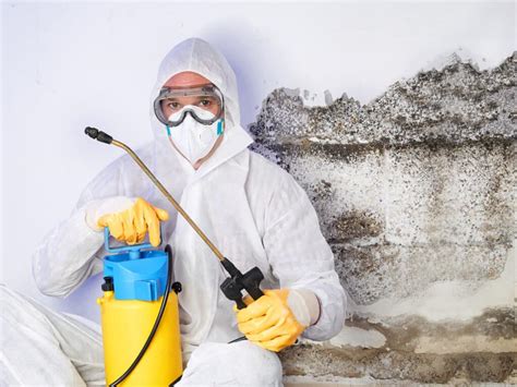 Companies that remove mold. (800) 737-8776. The Mold Remediation Process. Significant mold growth can happen in just 24 to 72 hours (about 3 days) and mold can literally grow anywhere and on anything if there is enough … 