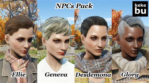 Companion and NPC Customizer at Fallout 4 Nexus - Nexus Mods