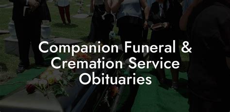 Companion funeral and cremation service obituaries. Always the life of the party, he will forever be remembered for the laughter and light that he shared. Family and friends may call THURSDAY, July 14, from 4-7 PM at Miller Funeral and Cremation Services (3325 Winton Rd S). Gordon's Mass of Christian Burial will be FRIDAY, July 15, at 1 PM at Blessed Sacrament Church (534 Oxford St, Rochester ... 