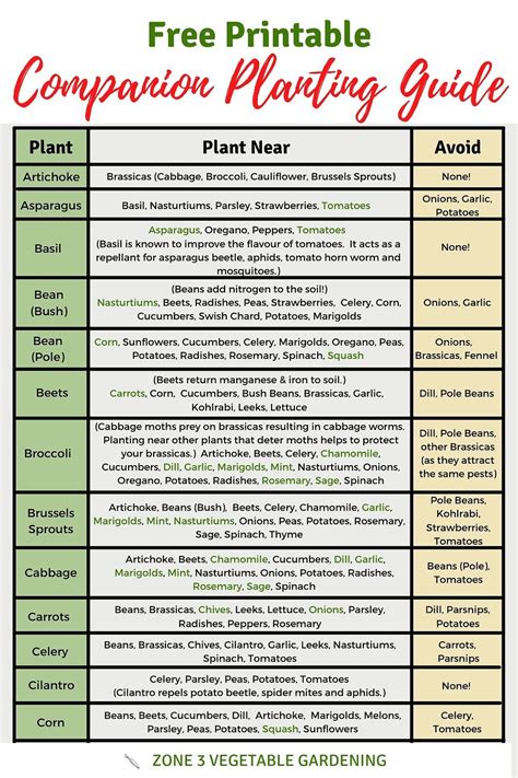 Companion planting chart pdf. Things To Know About Companion planting chart pdf. 