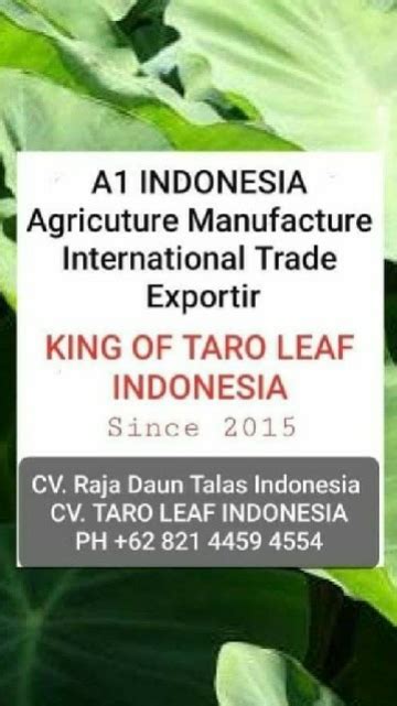 Company Owner - Cv TARO LEAF indonesia - LinkedIn