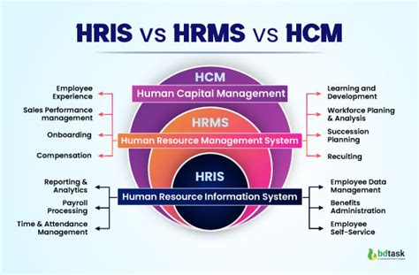 Comparación entre HRIS, HRMS y HCM; ¿cuál es la diferencia?