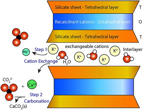 Comparative study of strong cation exchangers: Structure-related ...