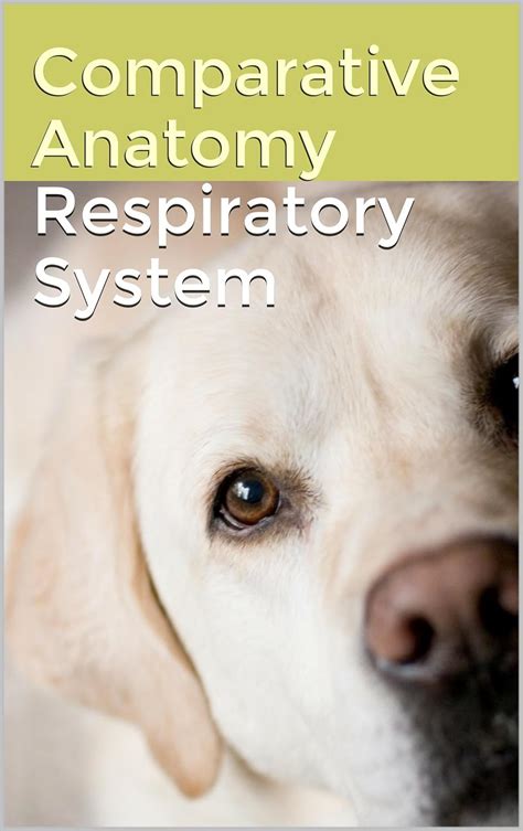 Read Online Comparative Anatomy Ã Respiratory System By Dr Girish Chandra