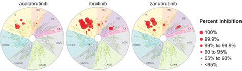 Comparing Ibrutinib, Acalabrutinib, and Zanubrutinib BTKi